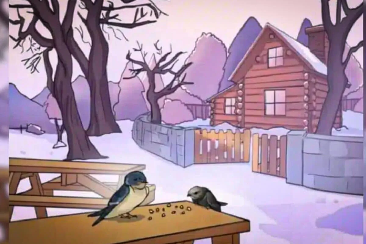 Desafio visual apenas os génios conseguem ver o erro escondido nesta imagem