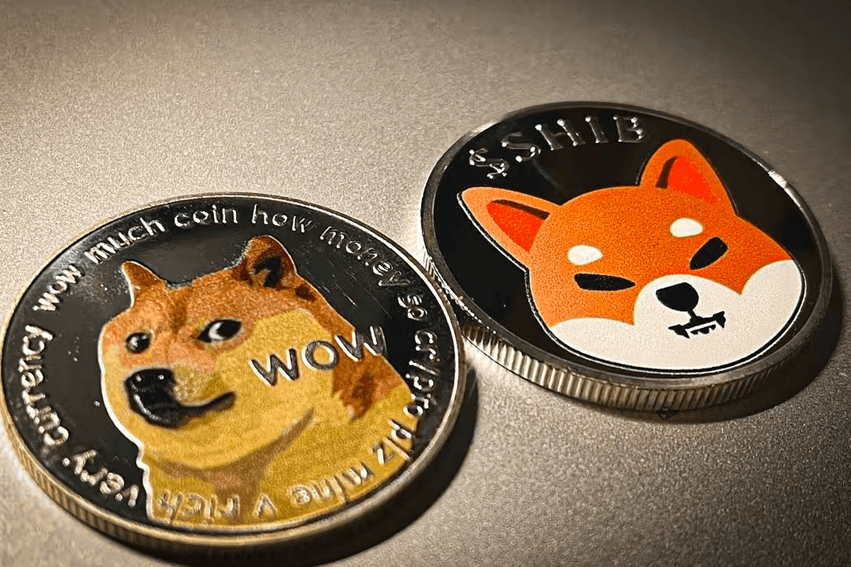 Dogecoin, Shiba Inu e Pepe em queda livre, refletindo a desvalorização do Bitcoin